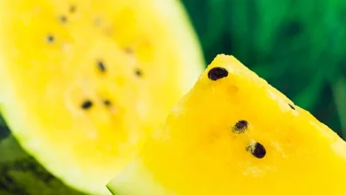 معلومات عن البطيخ الأصفر وفوائده الرهيبة