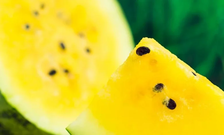 معلومات عن البطيخ الأصفر وفوائده الرهيبة