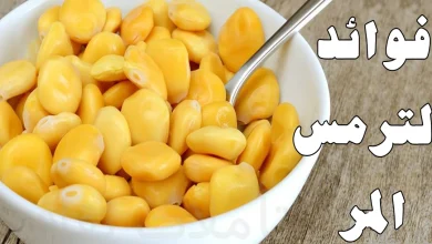 فوائد الترمس المر وأضراره المحتملة