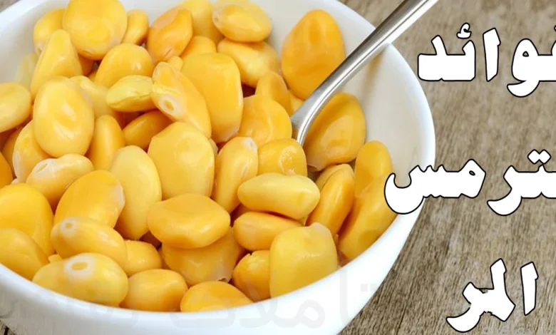 فوائد الترمس المر وأضراره المحتملة