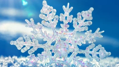 فوائد الثلج للوجه