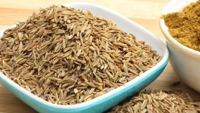 فوائد الكمون المطحون والاحتياطات المتخذة