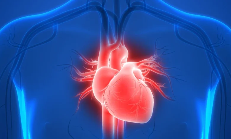 تشخيص النوبة القلبية علاجها خطوات الوقاية من نوبة القلب