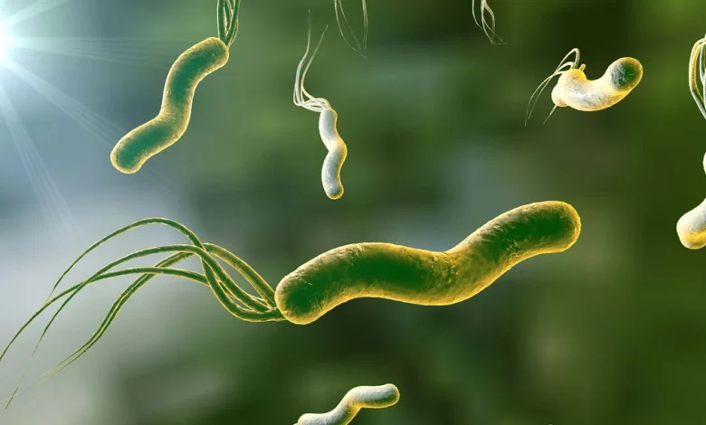 أعراض جرثومة المعدة وطرق الوقاية والعلاج المتبع للتخلص منها نهائيا