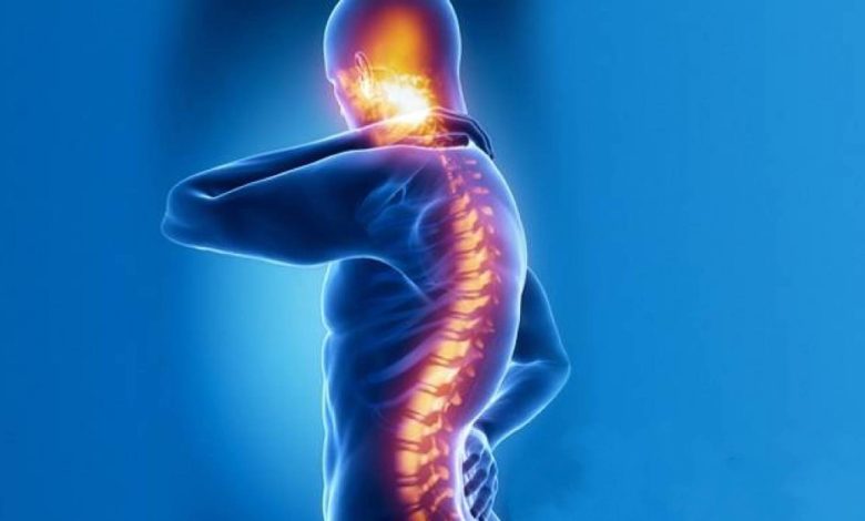 أسباب اعوجاج العمود الفقري: الشكل الطبيعي للعمود الفقري