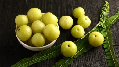 ما هي فوائد البمبر تعرف على أهم 3 فوائد