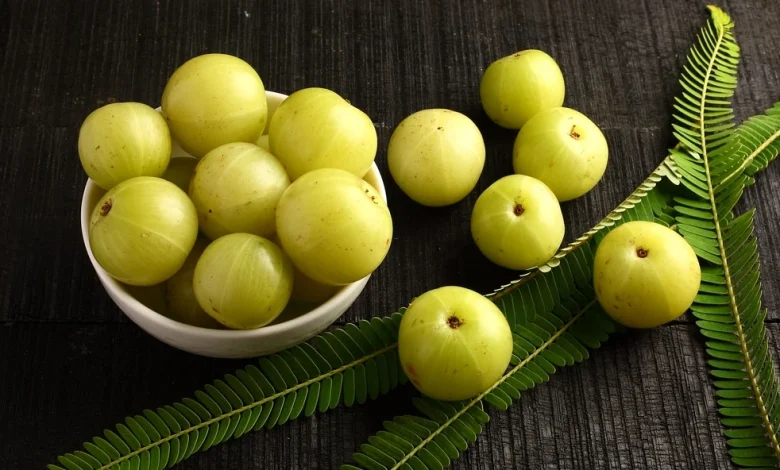 ما هي فوائد البمبر تعرف على أهم 3 فوائد