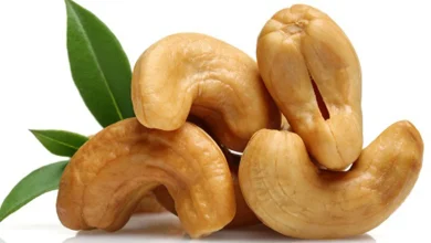 فوائد الكاجو: القيم الغذائية للكاجو