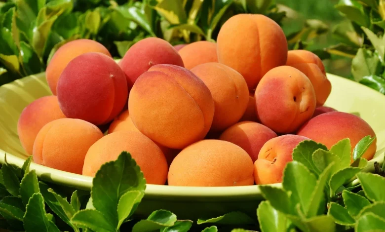 فوائد المشمش: القيم الغذائية للمشمش