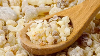 فوائد لبان الذكر | تعرف على أهم الاستخدام والعلاجات المهمة