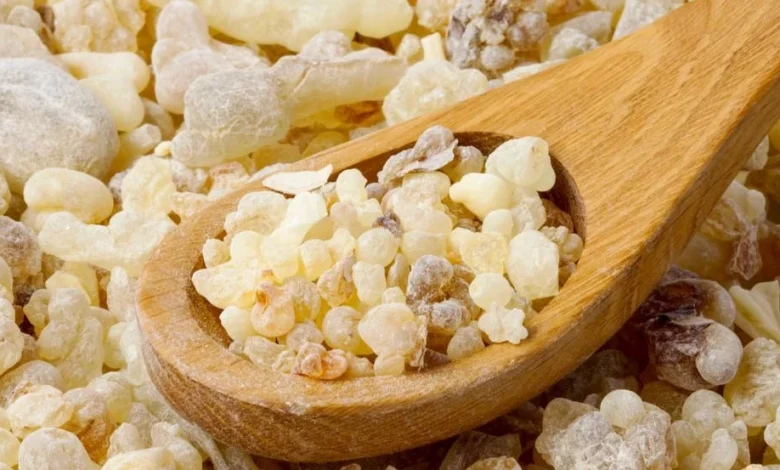 فوائد لبان الذكر | تعرف على أهم الاستخدام والعلاجات المهمة