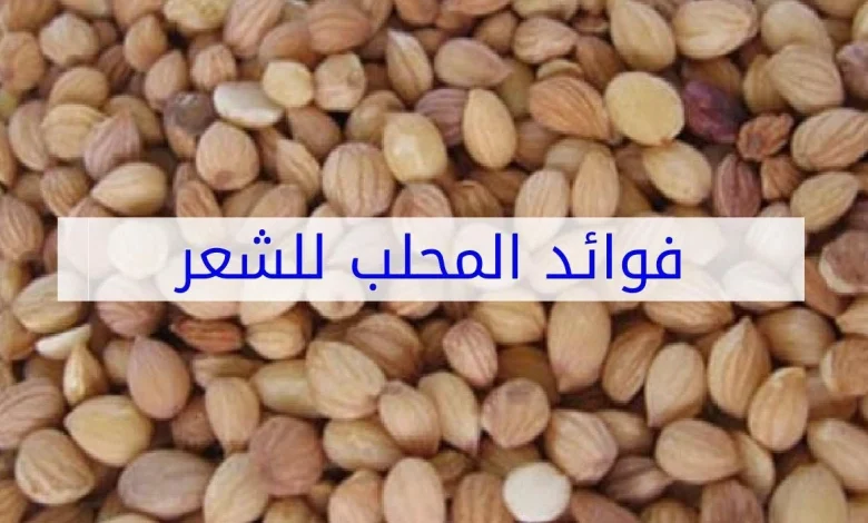 فوائد المحلب للشعر