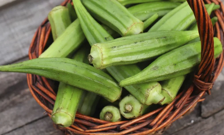 فوائد الباميه الهامة للجسم والاحتياطات اللازمة عند تناول البامية