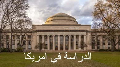 طريقة الدراسة في امريكا