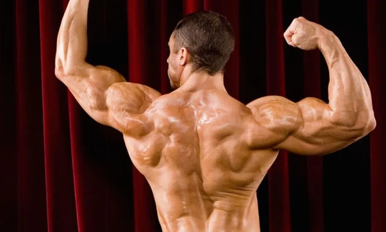 كيفية بناء العضلات