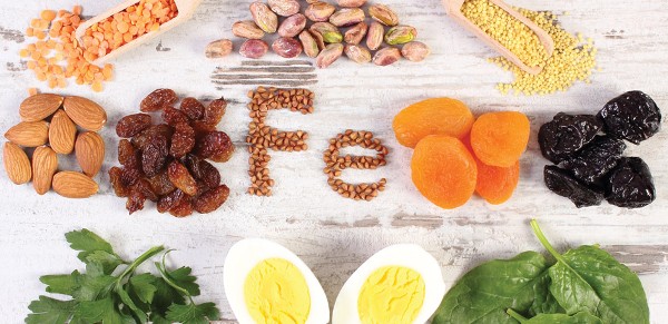 فائدة الحديد في الجسم