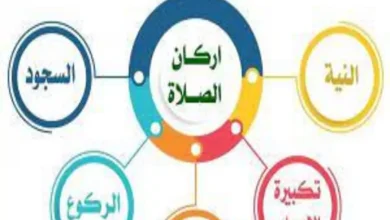 كم عدد اركان الصلاة