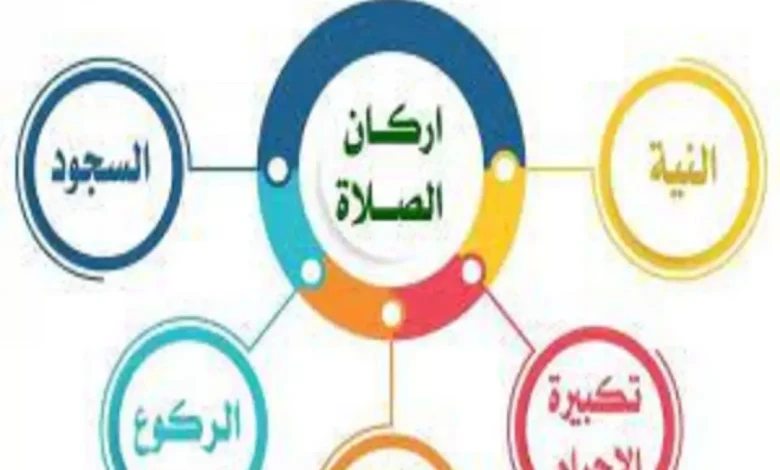 كم عدد اركان الصلاة