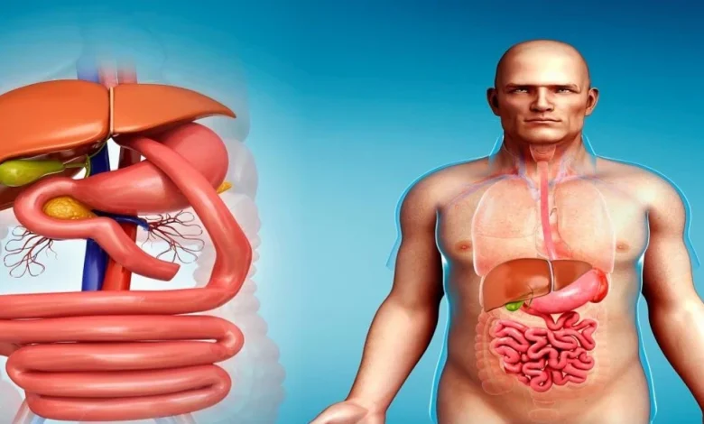 تحويل مسار المعدة