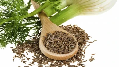 فوائد الشمر