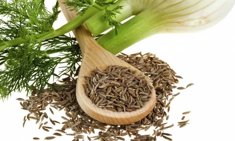 فوائد الشمر