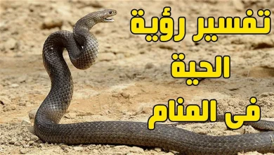 رؤية الثعبان في المنام