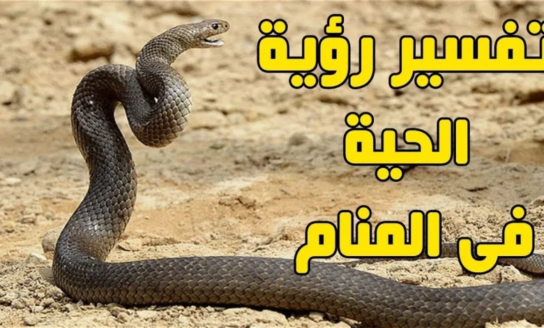 رؤية الثعبان في المنام