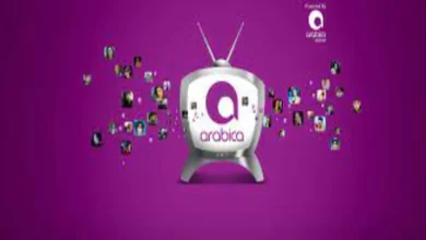 تردد قناة أراببيكا