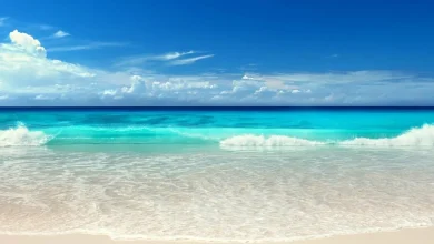 تفسير رؤية البحر في المنام