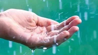 تفسير رؤية المطر في المنام