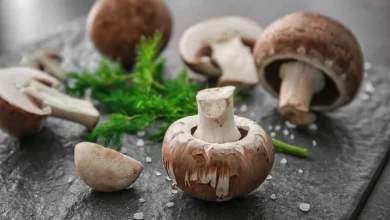 طريقة عمل الفطر