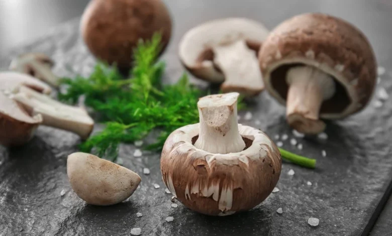 طريقة عمل الفطر