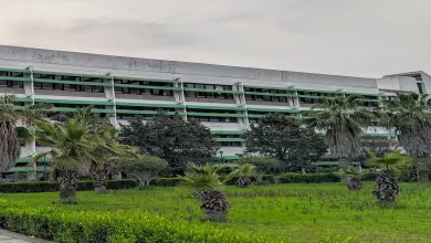 الجامعات السورية وأهميتها