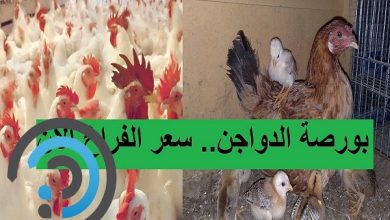 بورصة المرشد للدواجن