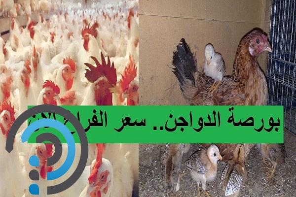 بورصة المرشد للدواجن