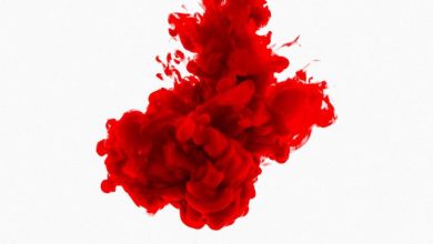 تفسير حلم الدورة الشهرية للمتزوجة الغير حامل