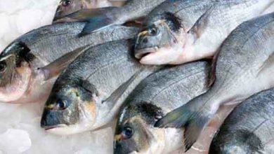 تفسير حلم السمك للمتزوجين