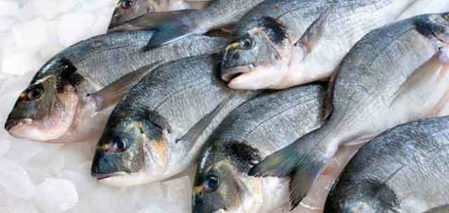 تفسير حلم السمك للمتزوجين