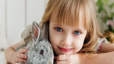 تفسير حلم طفلة صغيرة جميلة تضحك للعزباء