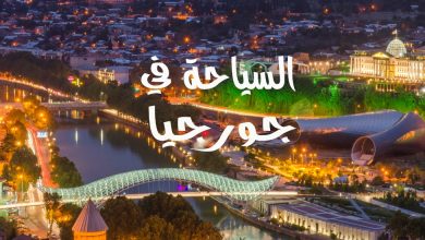 السفر الى جورجيا