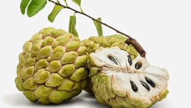 فوائد فاكهة القشطة