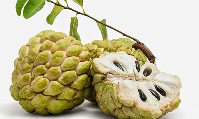 فوائد فاكهة القشطة