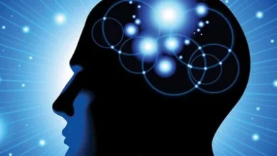 معلومات هامة ومفيدة