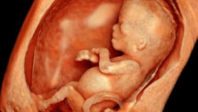 قوة حاسة الشم عند الحامل وجنس الجنين