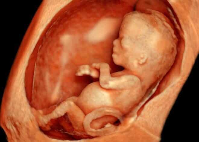 قوة حاسة الشم عند الحامل وجنس الجنين