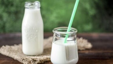 كم يوم يجلس حليب الإبل في الثلاجة