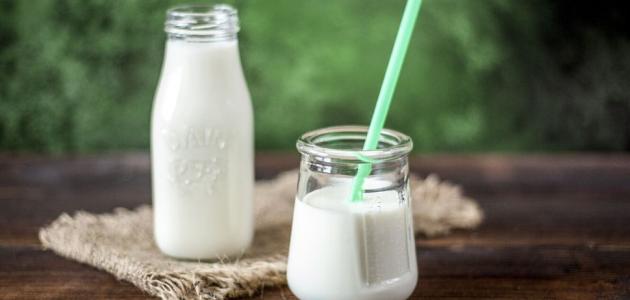 كم يوم يجلس حليب الإبل في الثلاجة