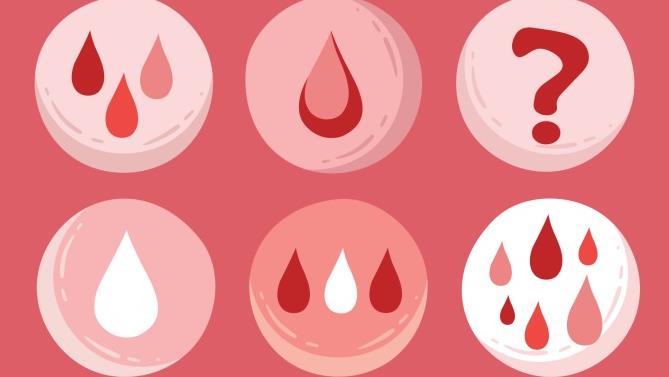 كيف أحسب المدة بين الدورتين