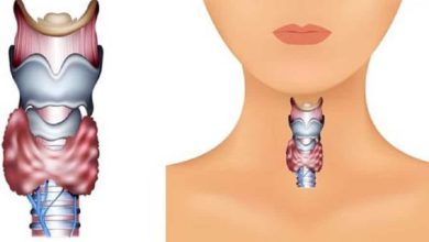 كيفية تنشيط الغدة الدرقية لحرق الدهون
