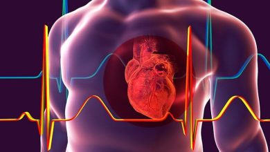 معنى ef في ايكو القلب